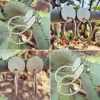 Double Circle Band Earrings